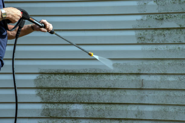 Best Residential Pressure Washing Services  in Dahlgren, VA