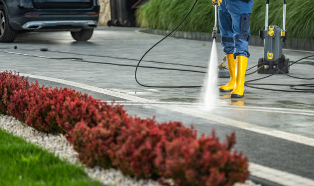 Best Roof Pressure Washing  in Dahlgren, VA