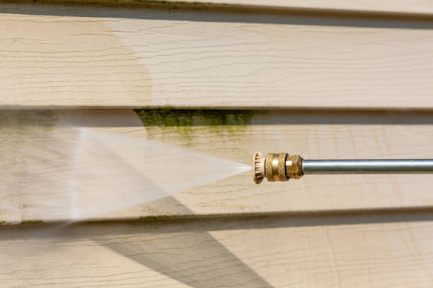 Best Pressure Washing Driveway  in Dahlgren, VA